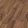 10_D2457_Nussbaum_WG_inter2.jpg