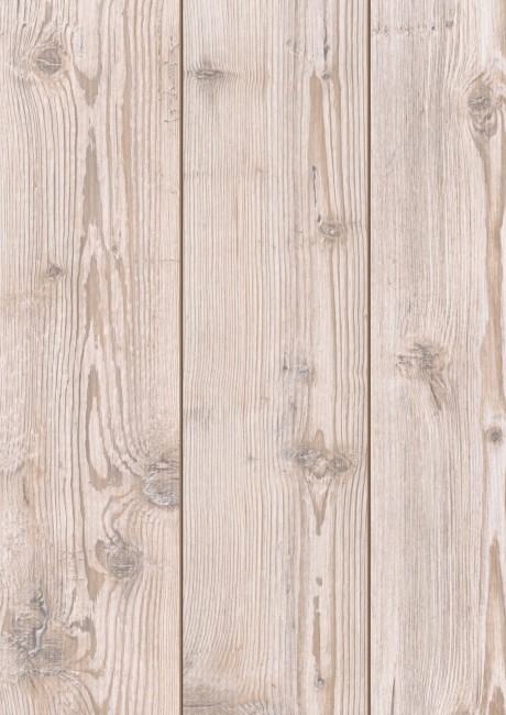 AQUA Amazone D2967 Пихта сибирская