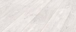 12_D_2800_Capital_Oak_Light_prew.jpg