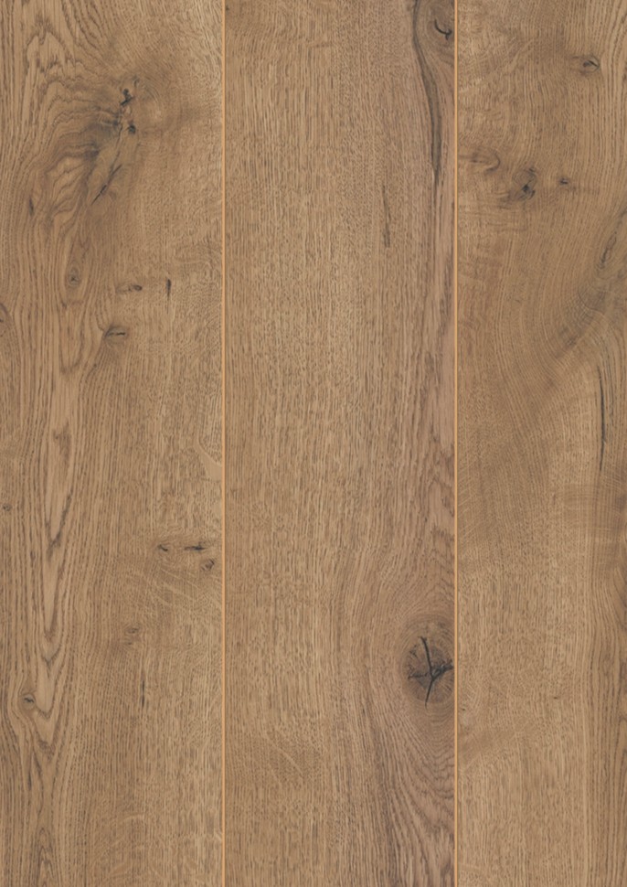 AQUA AMAZONE D3668 Дуб неброский