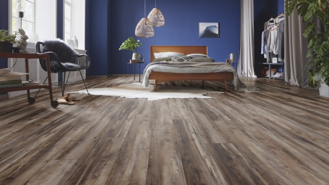 Robusto D6006 Клен Каньон темный