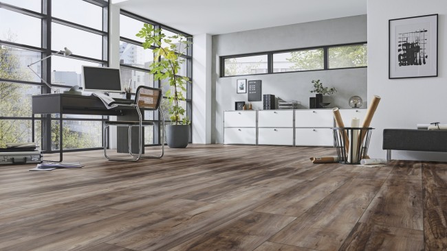 Robusto D6006 Клен Каньон темный