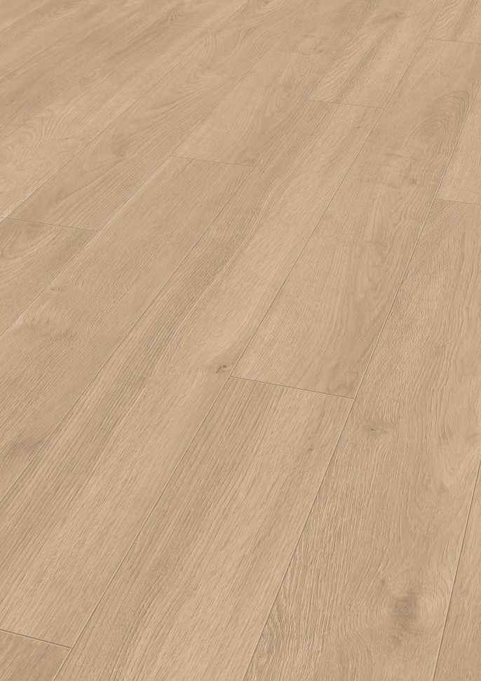 AQUA AMAZONE D6012 Дуб Эльба золотой 