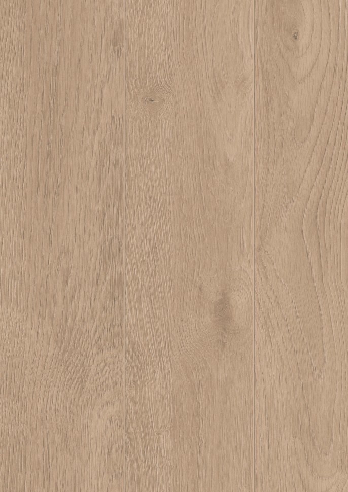 AQUA AMAZONE D6012 Дуб Эльба золотой 