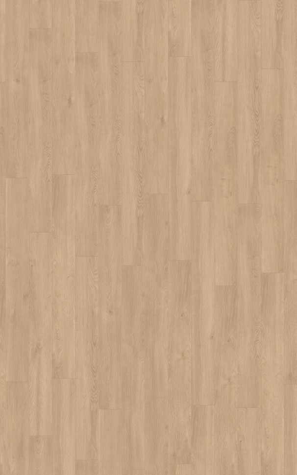 AQUA AMAZONE D6012 Дуб Эльба золотой 