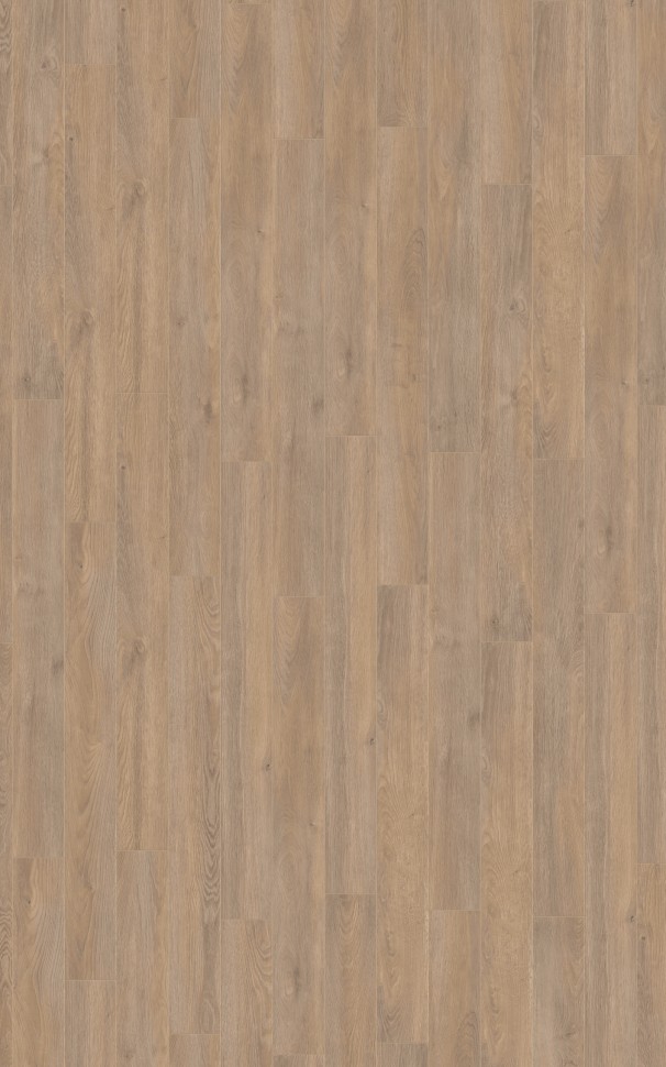 AQUA AMAZONE D6014 Дуб Эльба бежевый