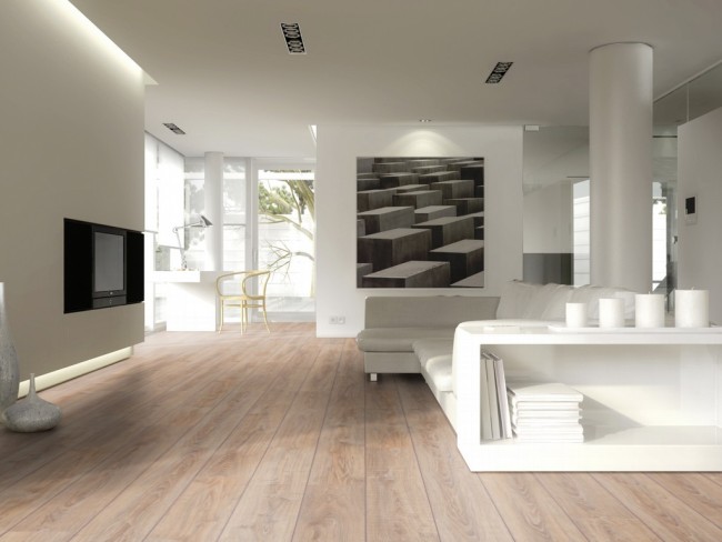 12_D2987_Whitewashed_Oak_int2.jpg