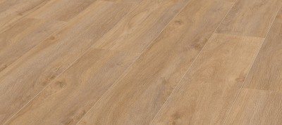 Robusto D4954 Дуб Премиум