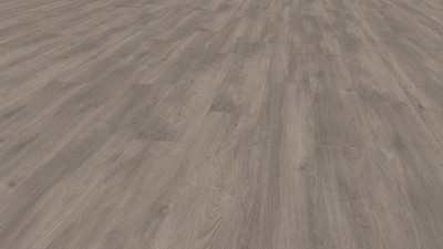 Exquisit Plus D6013 Дуб Эльба серебряный