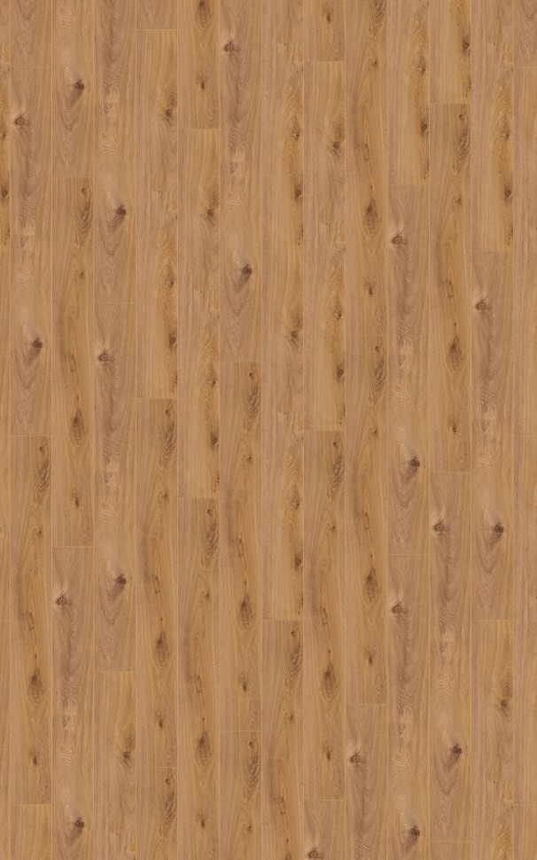 AQUA AMAZONE D4169 Дуб Престиж светлый