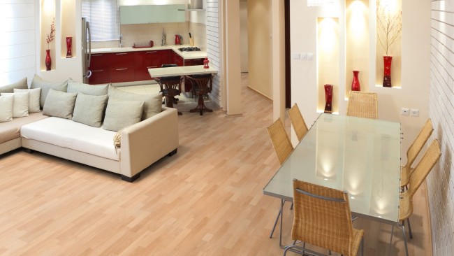 Dynamic Plus D1407 Бук королевский