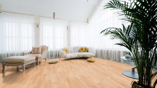 Dynamic Plus D1407 Бук королевский